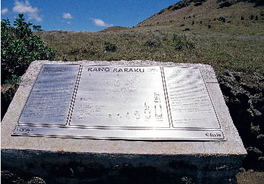 ���m�����N����