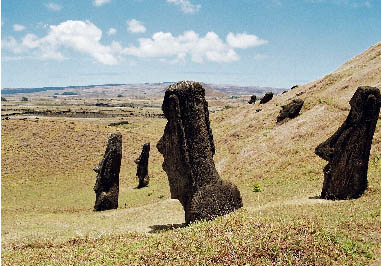 ���m�����N�̌i�F