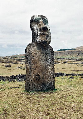 �z�c�}�c�A�̃��A�C