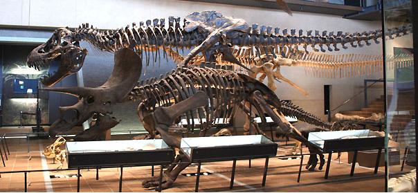 ks1