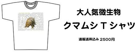 tkuma3