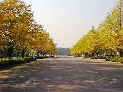 �����w��Ǖ���