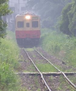 kururi01.jpg(15911 byte)