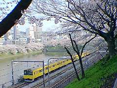 外濠公園