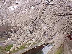 �P������