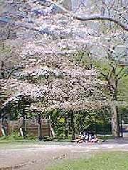 日比谷公園
