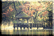 石神井公園紅葉