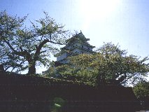 ��Îᏼ��V��