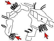 �����R�� �꒣�}