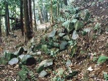 �ܗ��� ��̊�