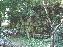 �ω�����{�ۂ̐Η�