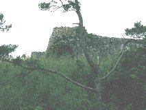 ���A�m��P