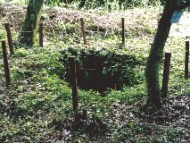 ���R�� �ވ�̒d