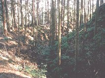 �O�����@