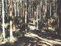 ���i���~�ՁH