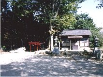 �����_��