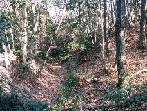 ������ �o�ۓ�̊ۓy��