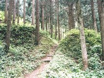 �����̓y��