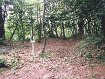 ��̊ۊp�n�o��