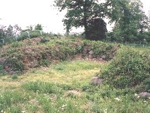 ��̊� ���`