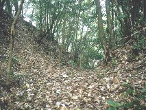 �k�̊s �x��