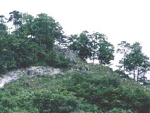 �����₩��