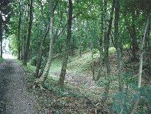 �O�s�E���