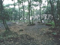 ���@����