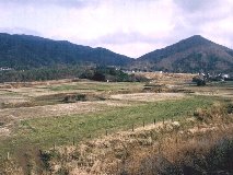 �ō��ʂ��瓌��