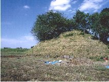 �x�ꂩ��E��