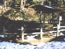 ����R�� �吆�̈�