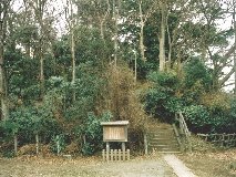 ��z�� �x�m���E��