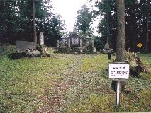 ���J����