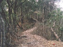 ���߂� ���߂�