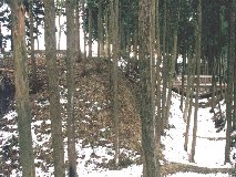 �k�̊� �V��E��