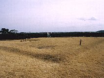 ���̊� ��a��