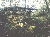 ���ۂ̊ۂ̐Ζ�