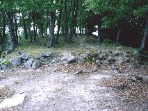 �T�A�U�ȗւ̊�