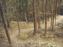 �k�� �~�`�e�`