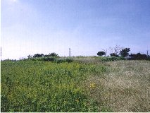 �p�̌������ՁH