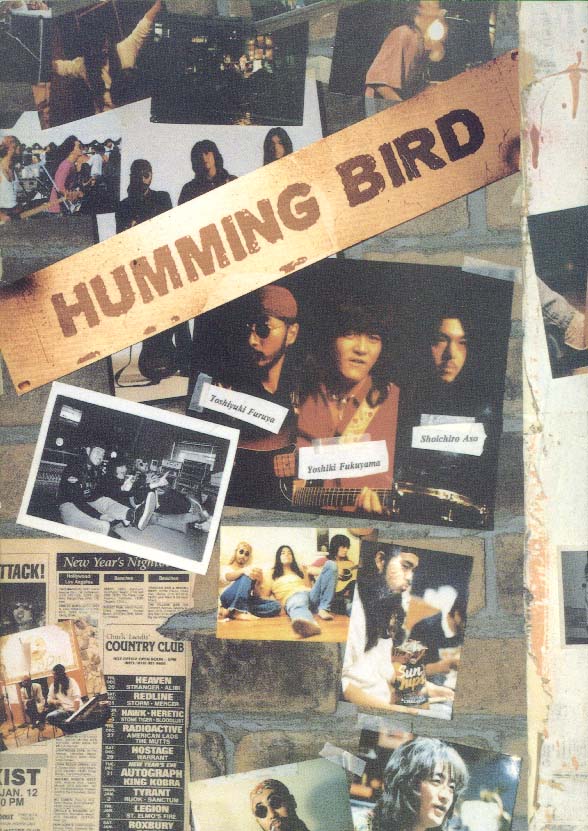 HUMMNIG BIRD