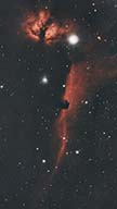 馬頭星雲と燃える木