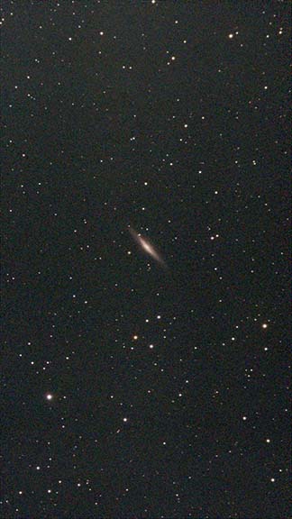 NGC2683の写真