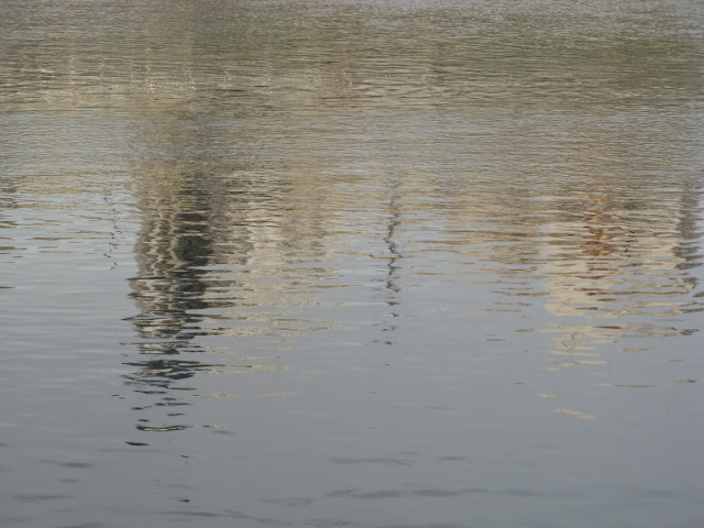buildings under the water