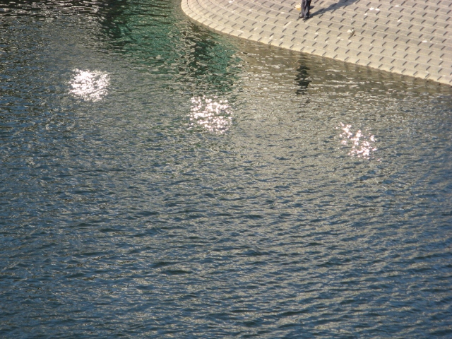 light from the water