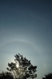 46-degree Halo, 22-degree Halo and Parhelion