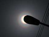 Pollen Corona and a Street Light