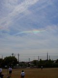 Phoenix-like Circumhorizontal Arc