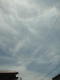 Another Circumhorizontal Arc and 22-degree Halo