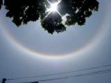 Splendid Circumscribed Halo